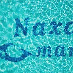 纳克索斯海滨公寓 Agia Anna (Naxos)